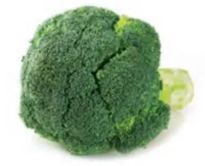 BROCCOLI