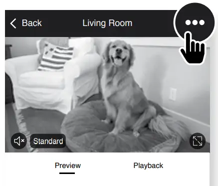 MERKURY Camera -Press to rename your