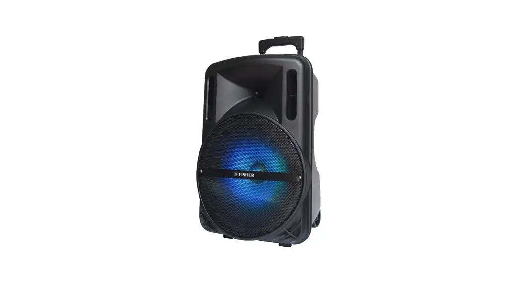 FISHER FBX1548SM 15 Inch Portable DJ Speaker User Guide