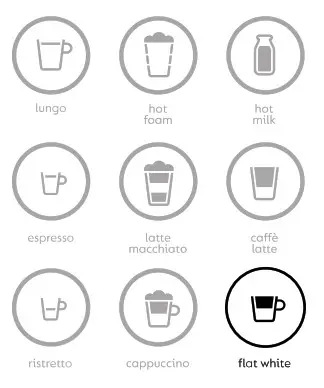 machine enters the descaling mode