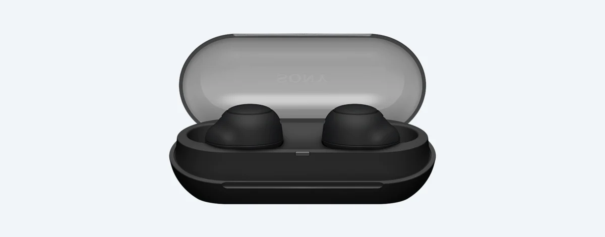 SONY WF-C500 True Wireless In-Ear Headphones Instruction Manual