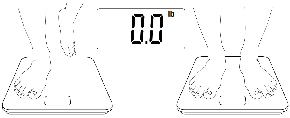 ETEKCITY Digital Body Weight Scale-Recalibrating the Scale