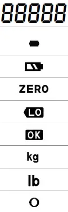 TMT TXDi- Series Vehicle Weighing Scale-Display
