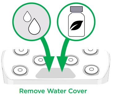AeroGarden Harvest User Guide - Remove Water Cover