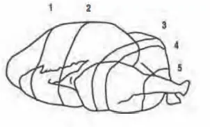 Ronco- 5000 -Series -Rotisserie -Digital -Jog- Shuttle -Platinum -Unit -17