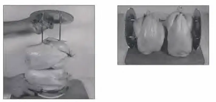 Ronco- 5000 -Series -Rotisserie -Digital -Jog- Shuttle -Platinum -Unit -19