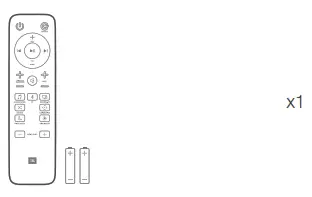 Remote Control and Batteries